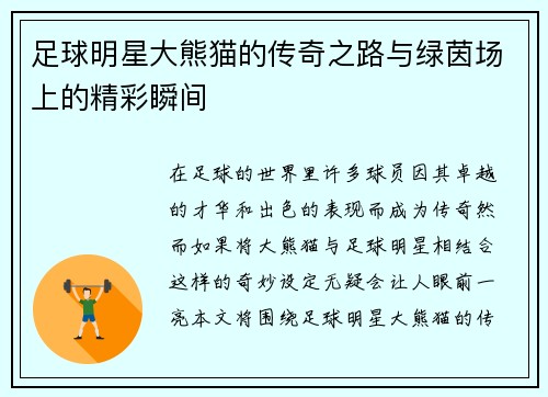 足球明星大熊猫的传奇之路与绿茵场上的精彩瞬间