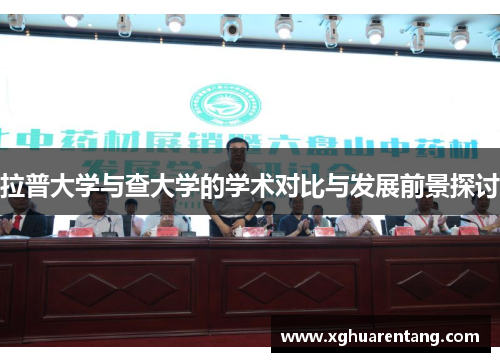 拉普大学与查大学的学术对比与发展前景探讨